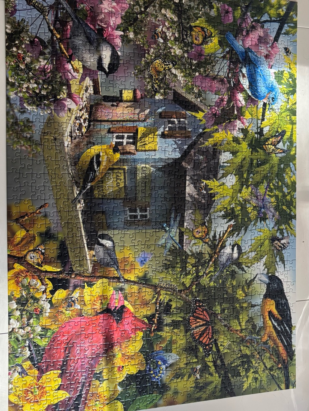Ravensburger 1000 pieces Bright Yellow Pink Blue Bird & Butterfly Puzzle